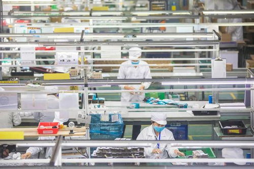 連續三年,兩位數增長 漳州這項指標,強勢