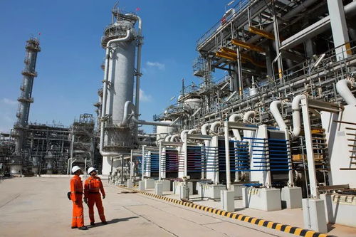 道達爾2020年第二季度堅持逆勢分紅,展現強勁韌性